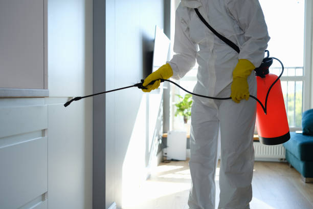 Best Mold Remediation  in Fort Dick, CA
