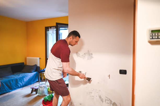 Best Office Mold Removal Services  in Fort Dick, CA